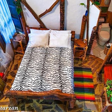 Hotel Casa Tarzan San Agustin エクステリア 写真