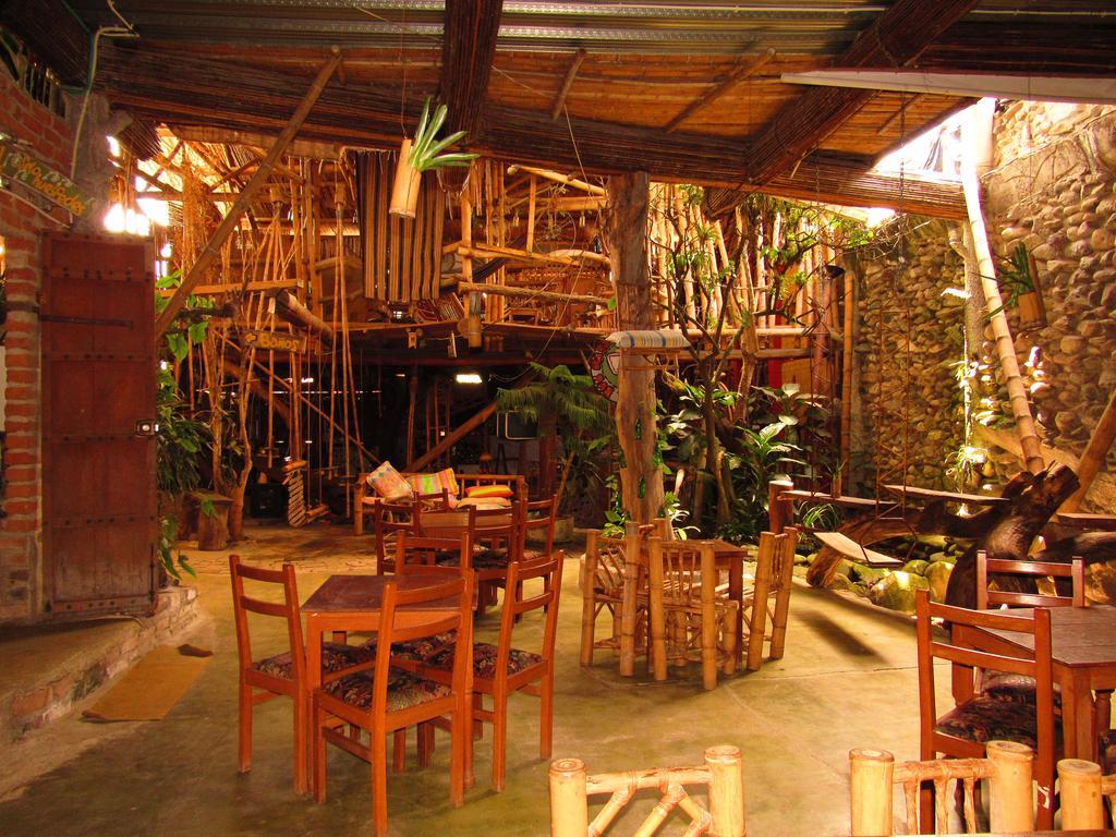 Hotel Casa Tarzan San Agustin エクステリア 写真